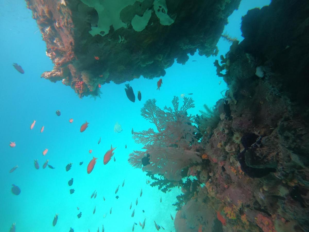 Meos Ambower Homestay Raja Ampat Fam 외부 사진