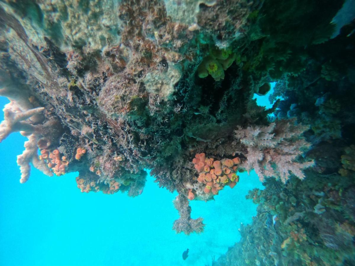 Meos Ambower Homestay Raja Ampat Fam 외부 사진