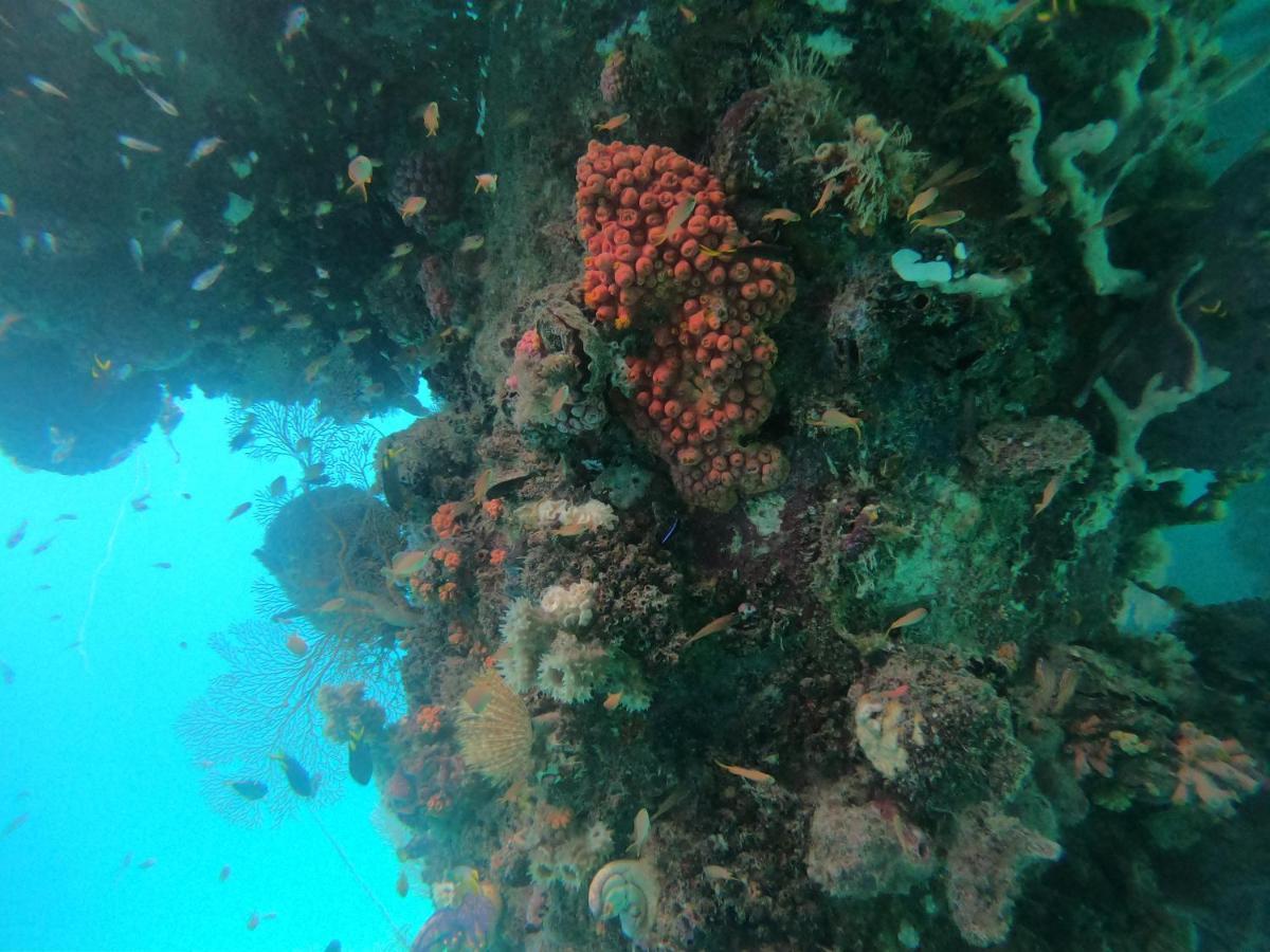 Meos Ambower Homestay Raja Ampat Fam 외부 사진