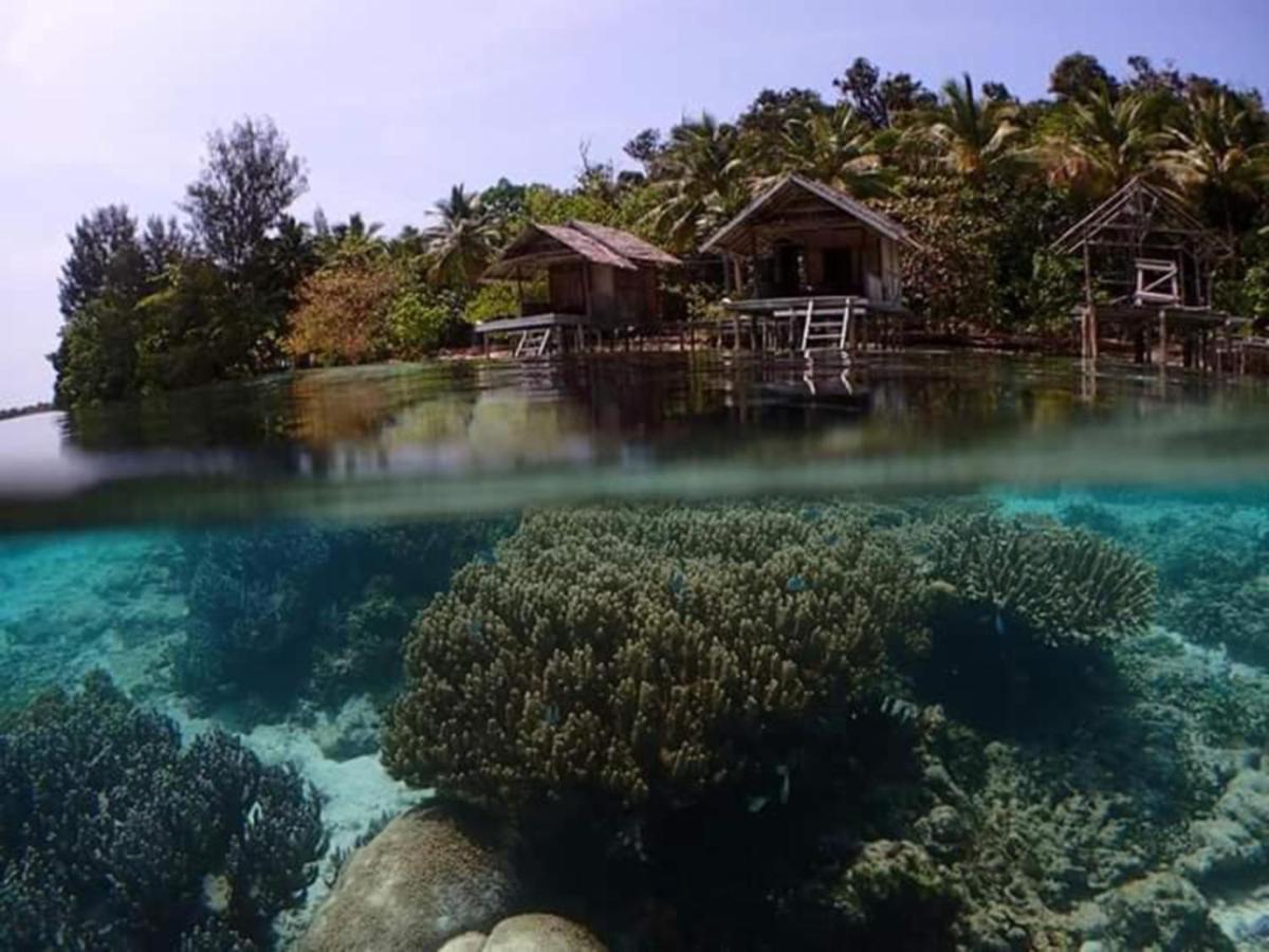 Meos Ambower Homestay Raja Ampat Fam 외부 사진