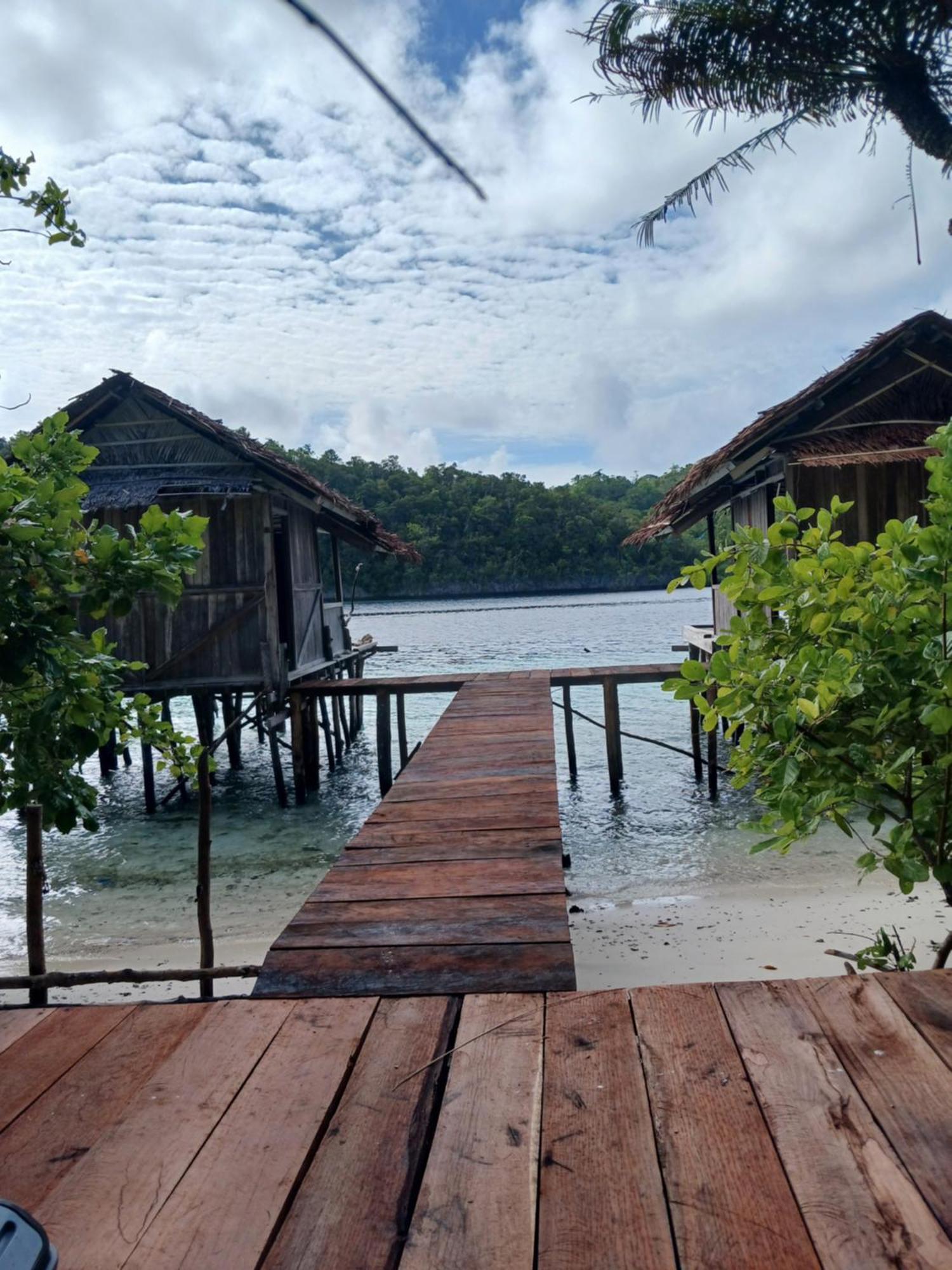 Meos Ambower Homestay Raja Ampat Fam 외부 사진